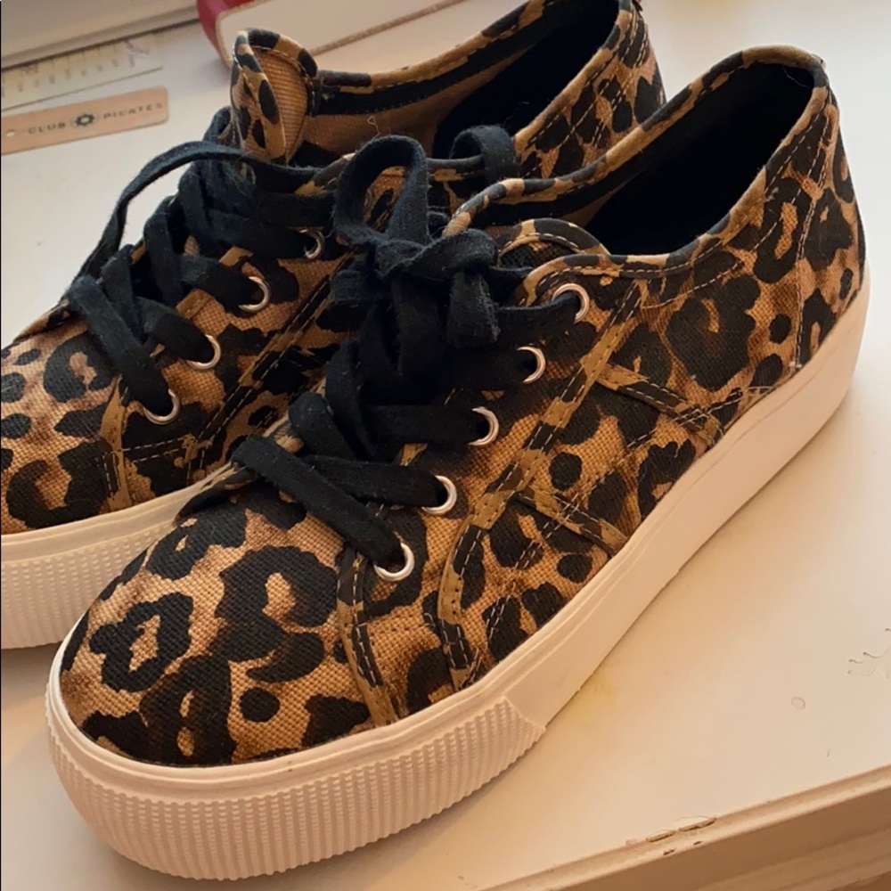 Steve Madden Leopard sneakers